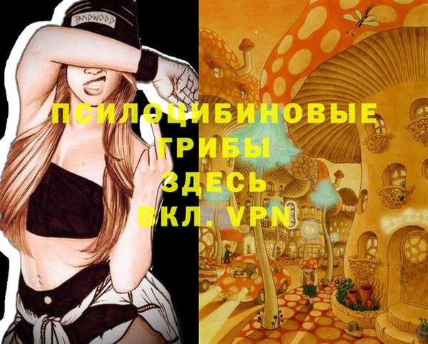 МДМА Нея