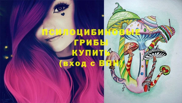гашишное масло Новодвинск