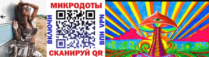 Галлюциногенные грибы Psilocybine cubensis  закладка  Ковылкино 