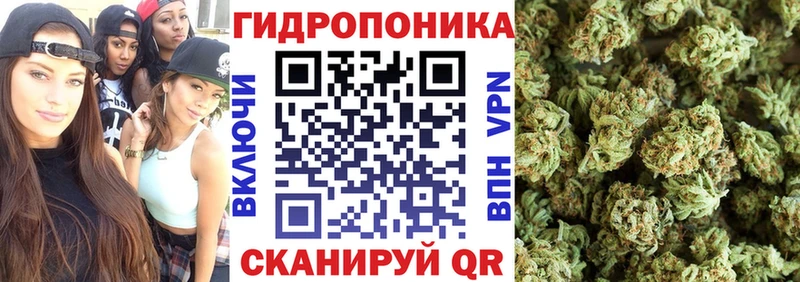 Бошки марихуана план Ковылкино